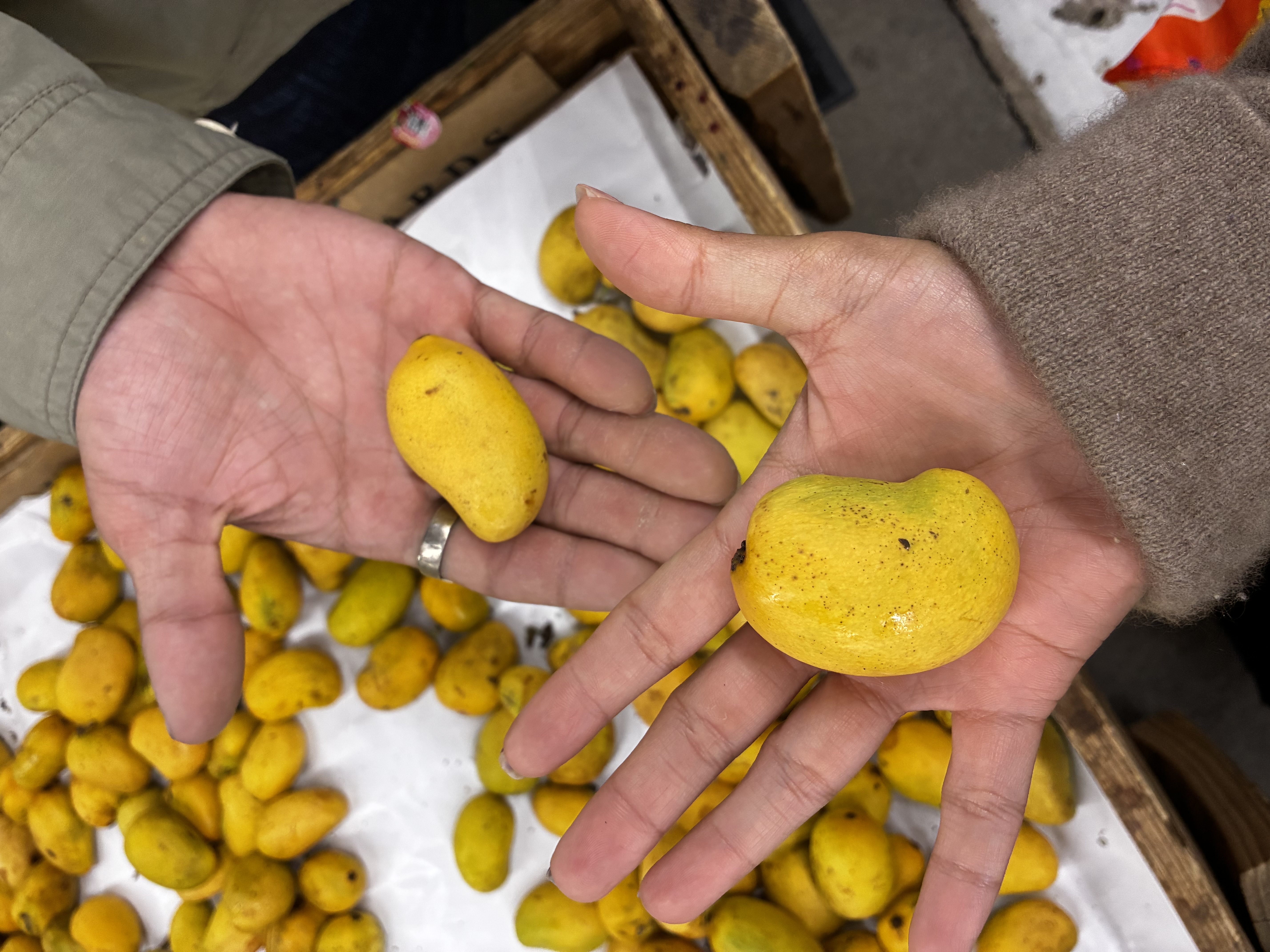 Tiny manila mangoes I ate with Maria